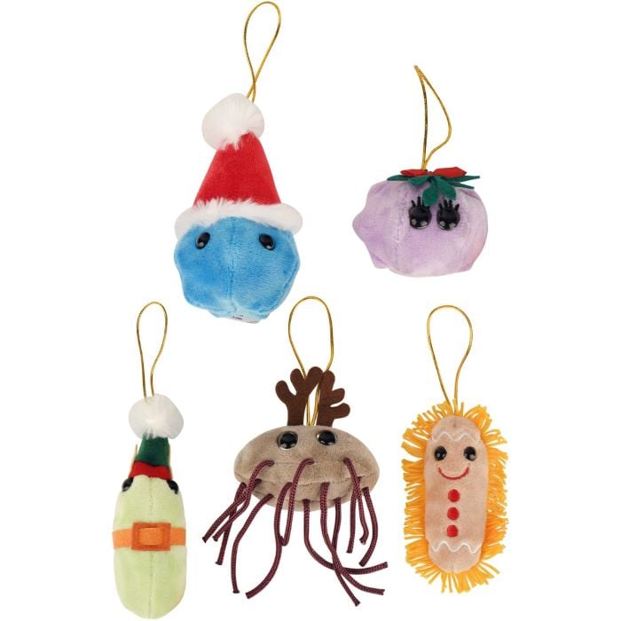 Germ Ornaments box minis