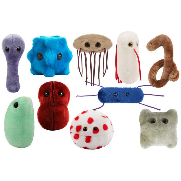 Germs Deluxe new group 10 pack