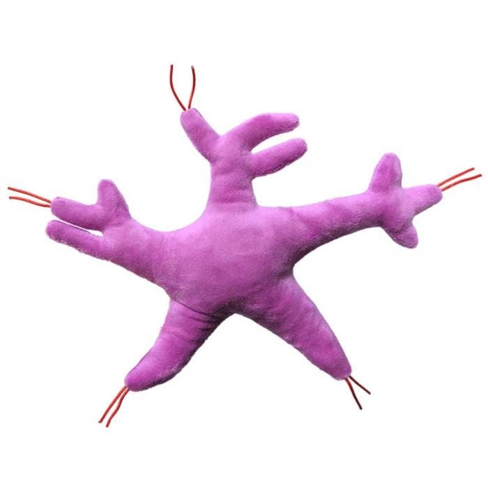 Glial Cell back