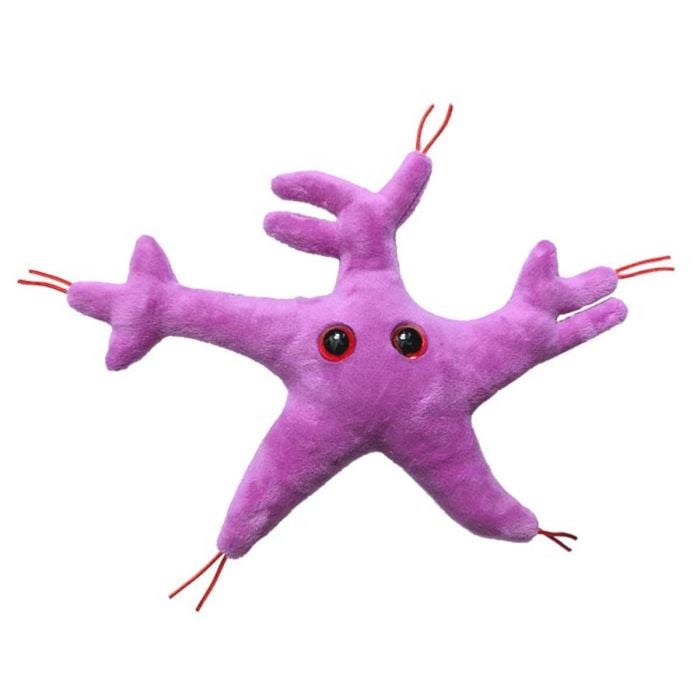 Glial Cell front