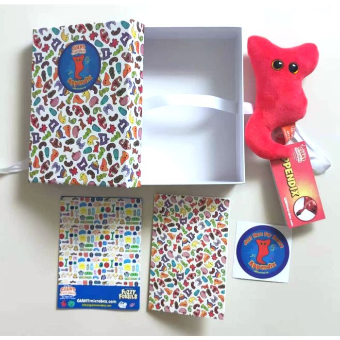 Appendix gift box full package