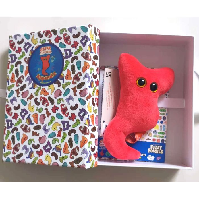Appendix gift box open