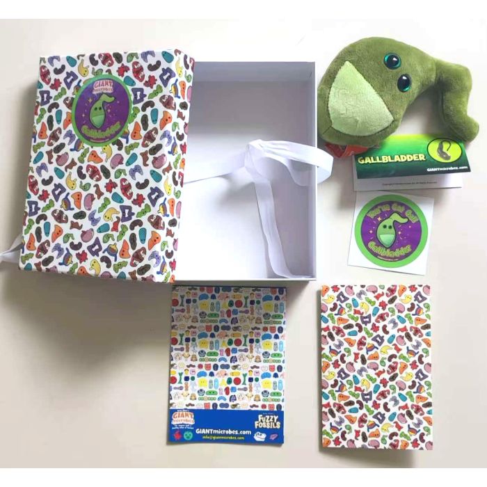 Gallbladder gift box full package