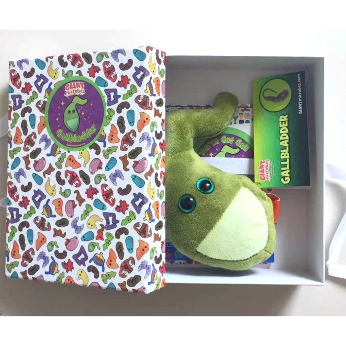 Gallbladder gift box open
