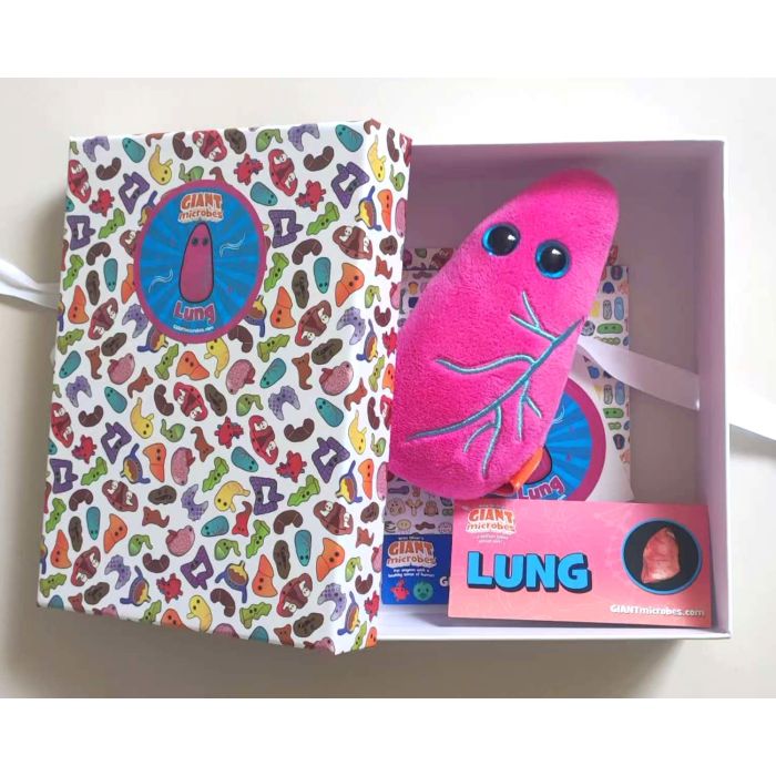 Lung gift box open