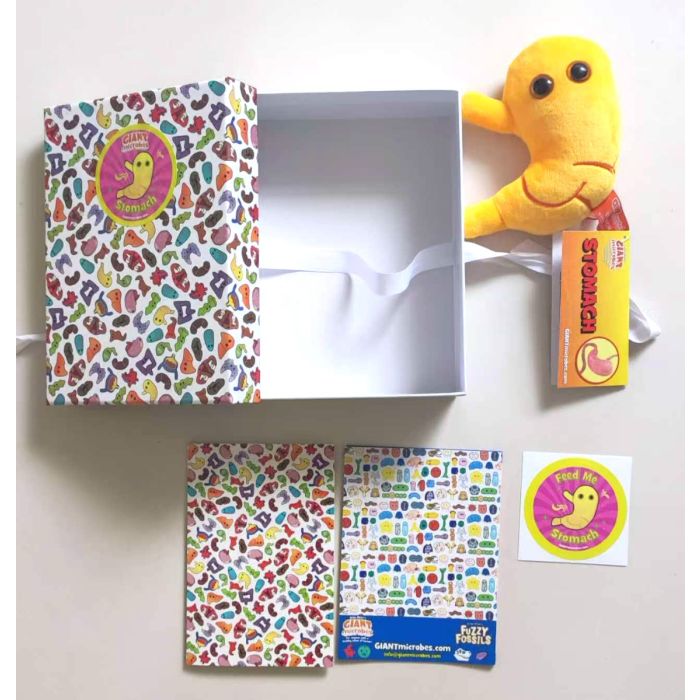 Stomach gift box full package