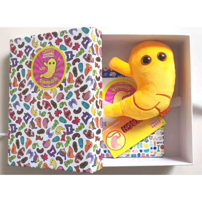 Stomach gift box open