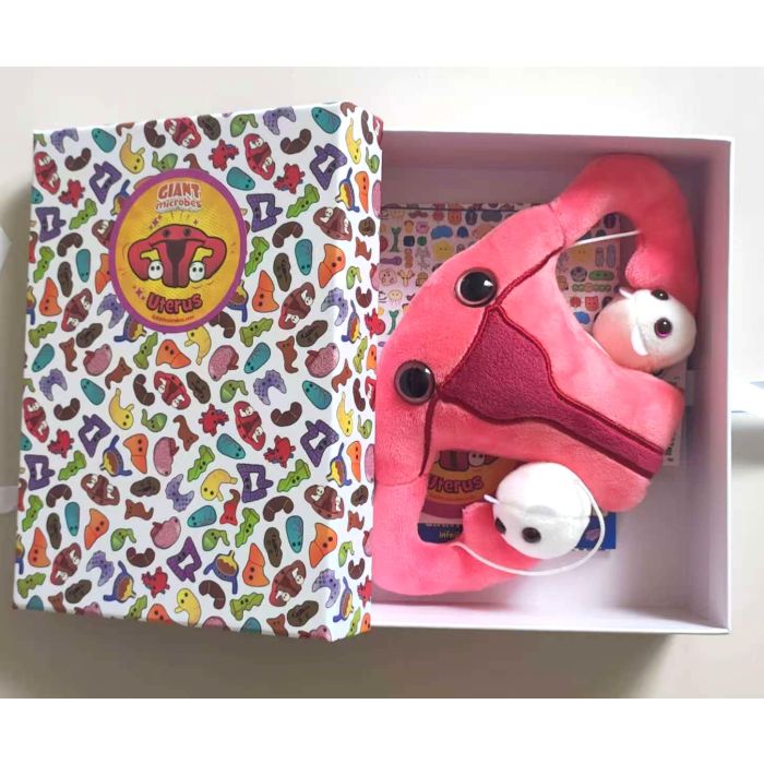 Uterus gift box open