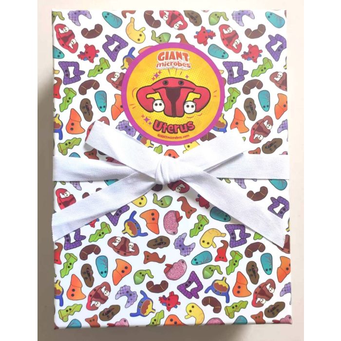 Uterus gift box