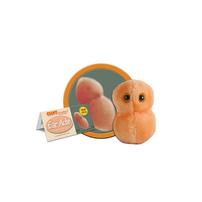 Ear Ache cluster