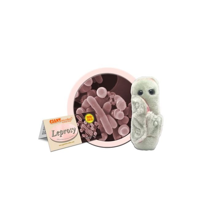 Leprosy cluster
