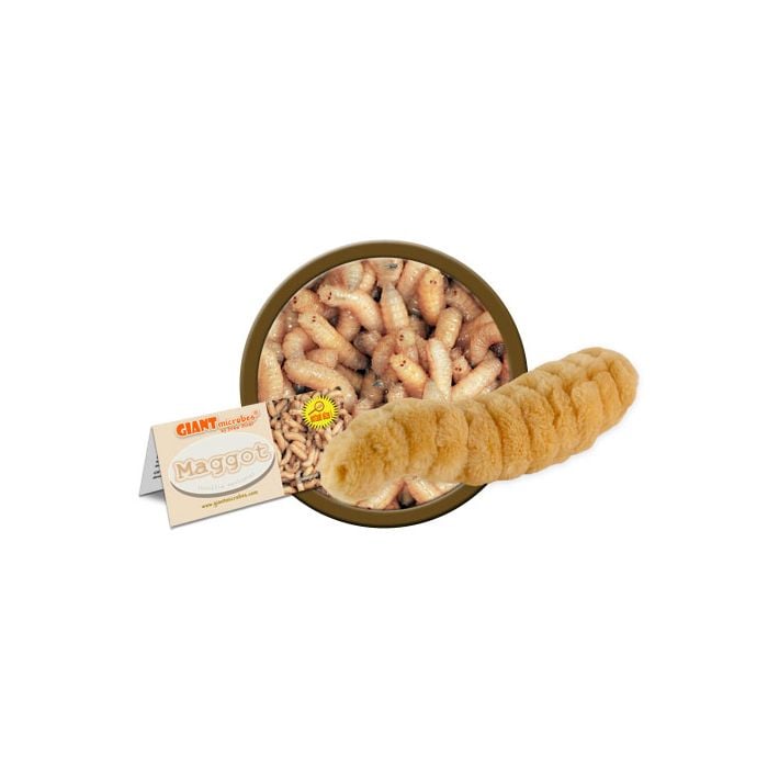 Maggot cluster