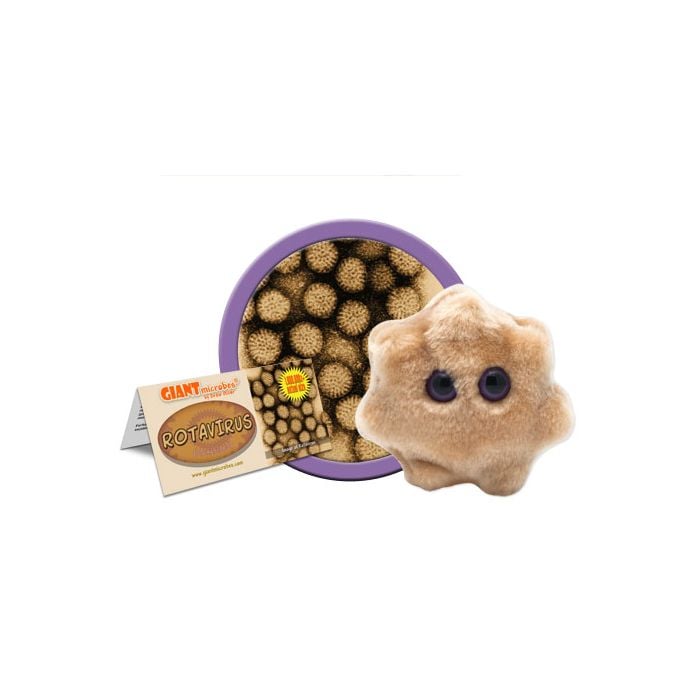 Rotavirus cluster