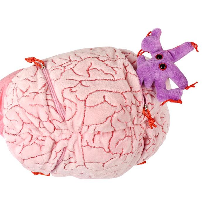 XL Brain Glial mini