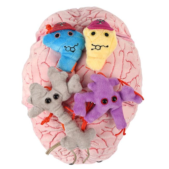 XL Brain top minis