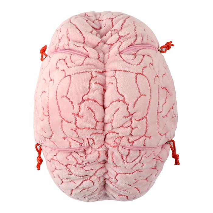XL Brain top closed