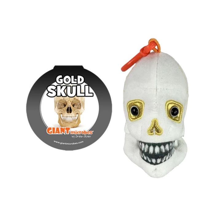 Gold Skull key chain tag