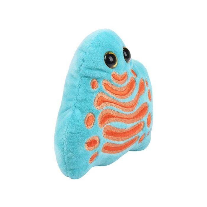Golgi plush angle
