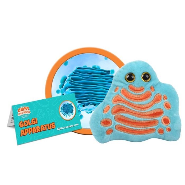 Golgi plush cluster