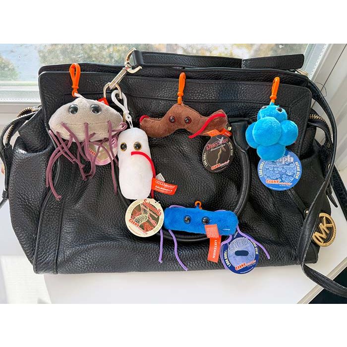 Gut Check mini key chains on bag