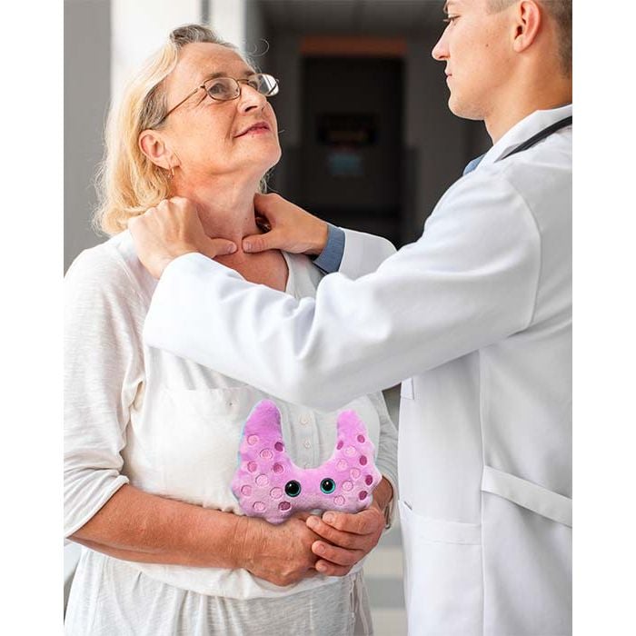 Hashimoto's plush with patient 2