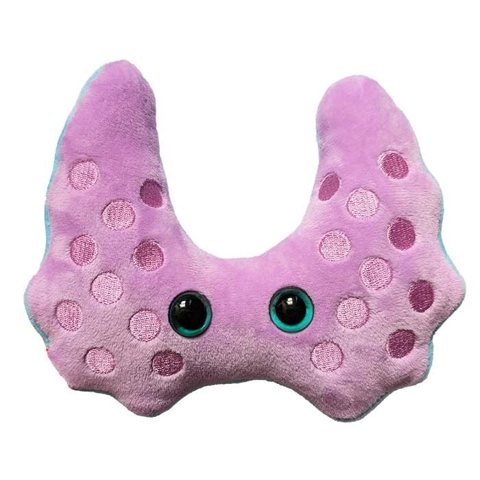 Hashimoto's plush back