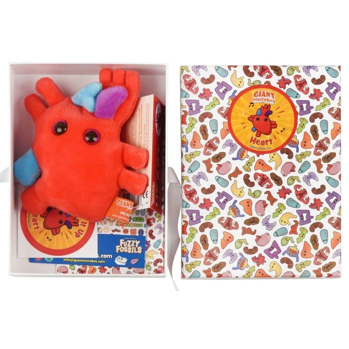 Heart gift box open with plush Heart gift box open with plush