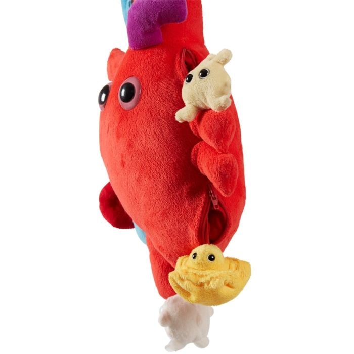 Heart XL side view