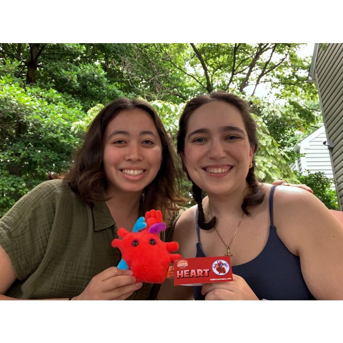 Two friends with Heart plush Two friends with Heart plush