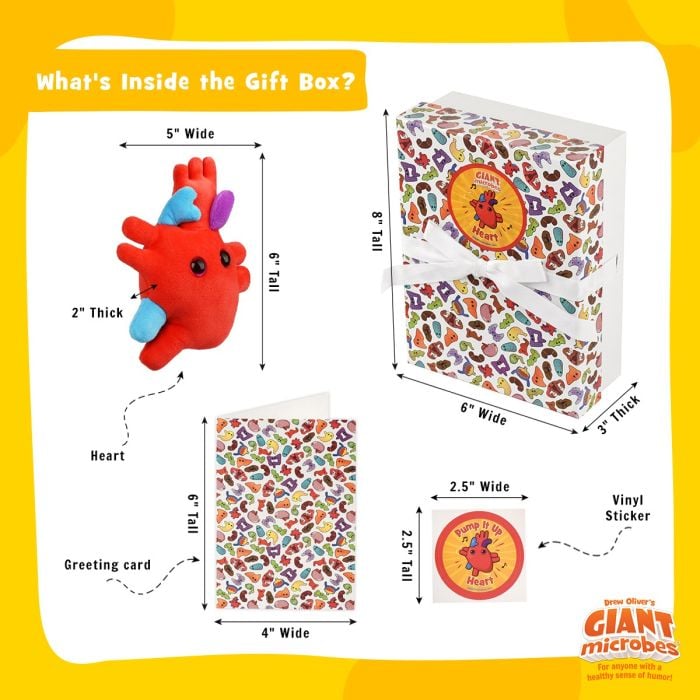 Heart box full dimensions