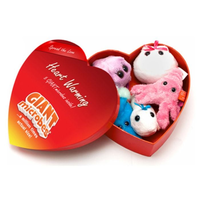 Heartwarming box