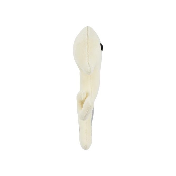 Hip Replacement plush side