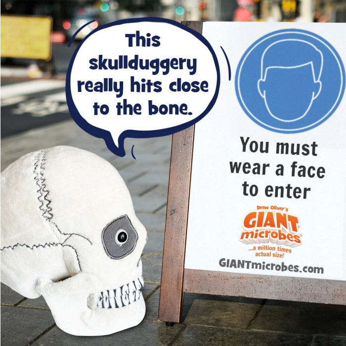 Skullduggery cartoon