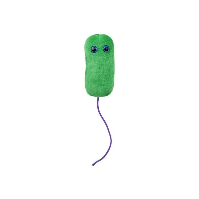 Legionnaires plush front