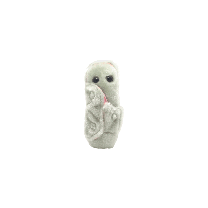 Leprosy doll animated gif