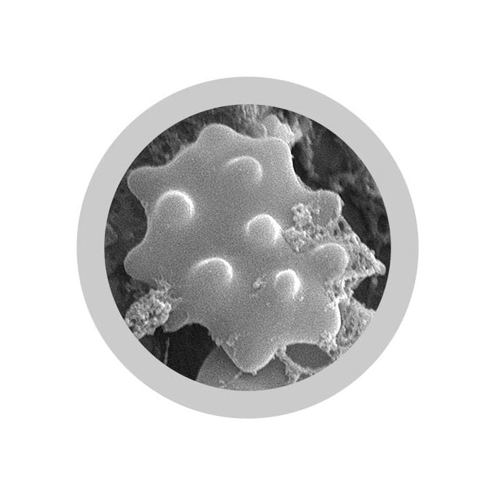 Microbial