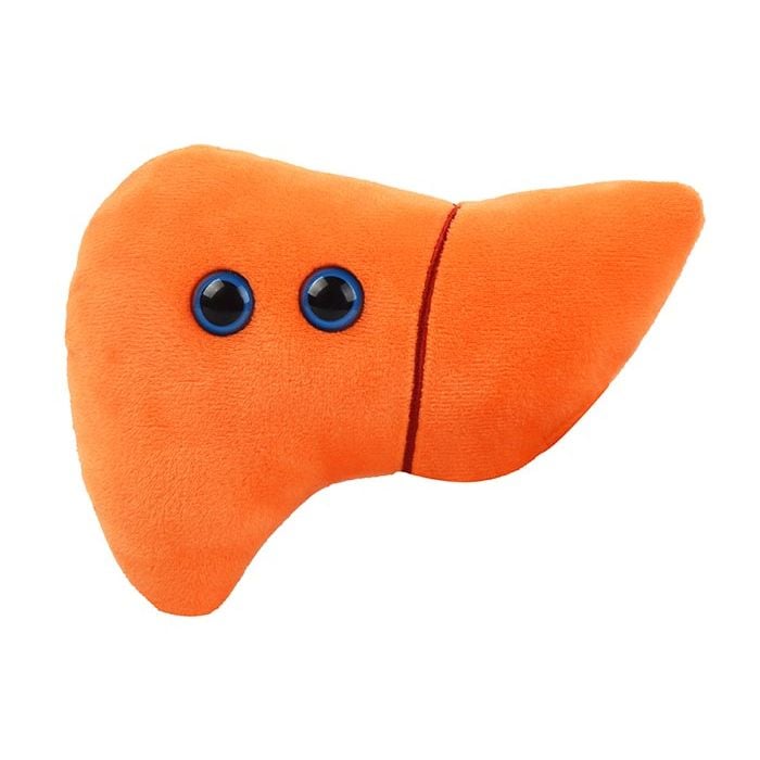 Liver plush front