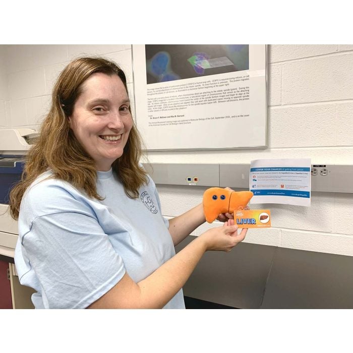 Liver plush at hospital