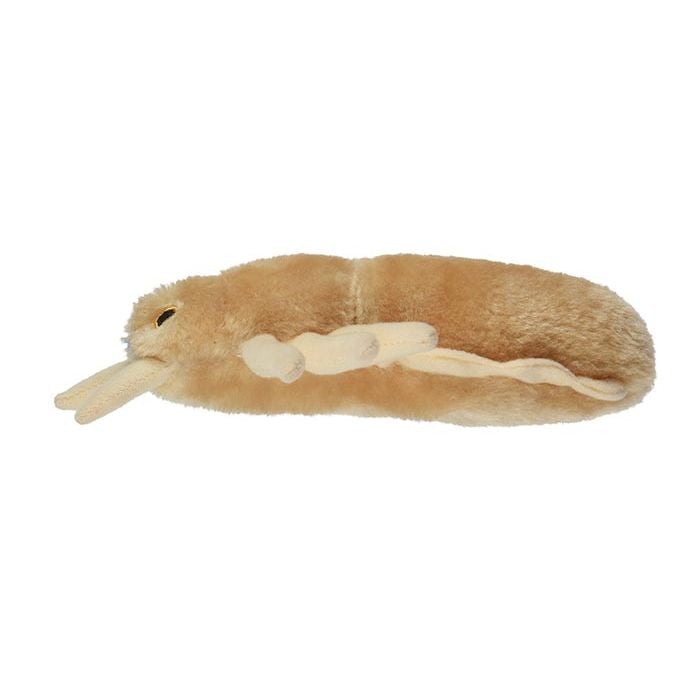 Louse plush profile view