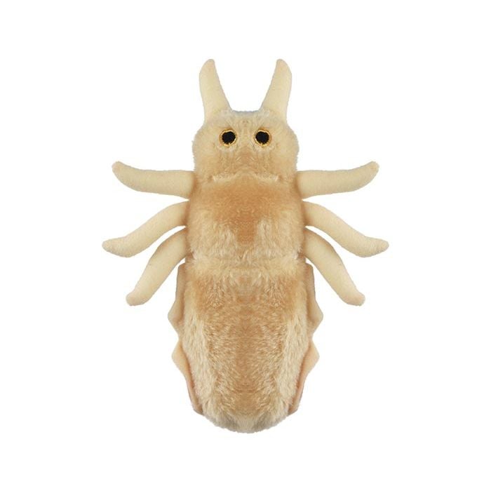 Louse plush top