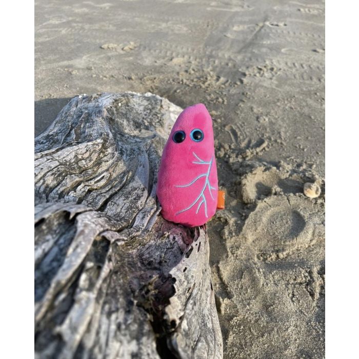 Lung plush on the beach