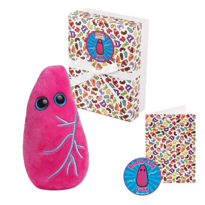 Lung gift box main image