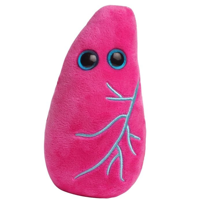 Lung plush pink front