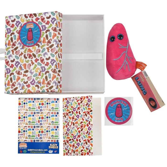 Lung gift box all content Lung gift box all content