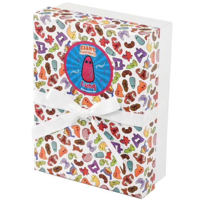 Lung gift box angle Lung gift box angle