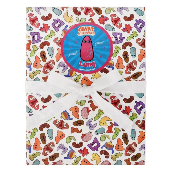 Lung gift box front closed Lung gift box front closed