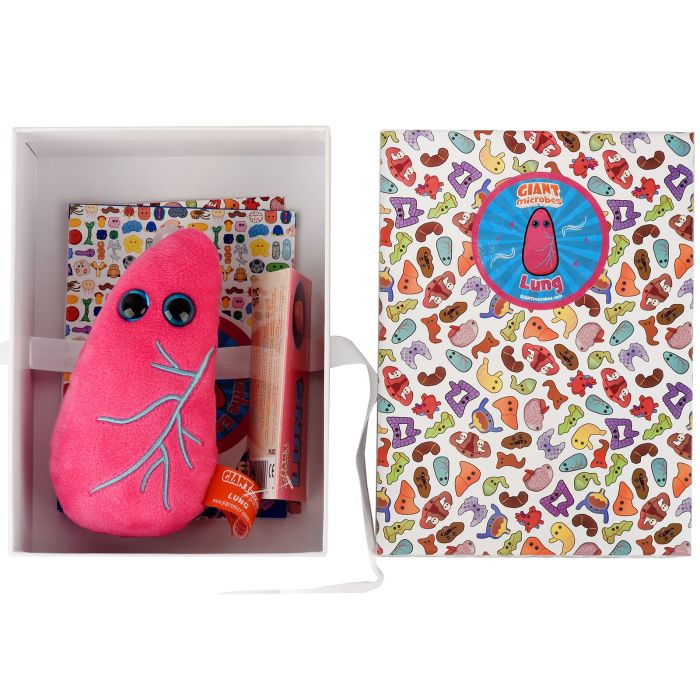 Lung gift box open with plush Lung gift box open with plush