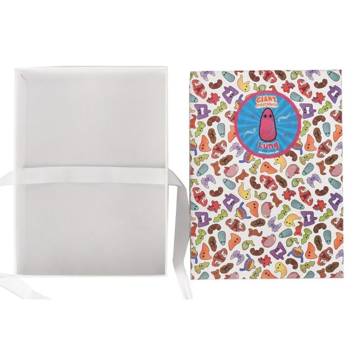 Lung gift box open empty Lung gift box open empty