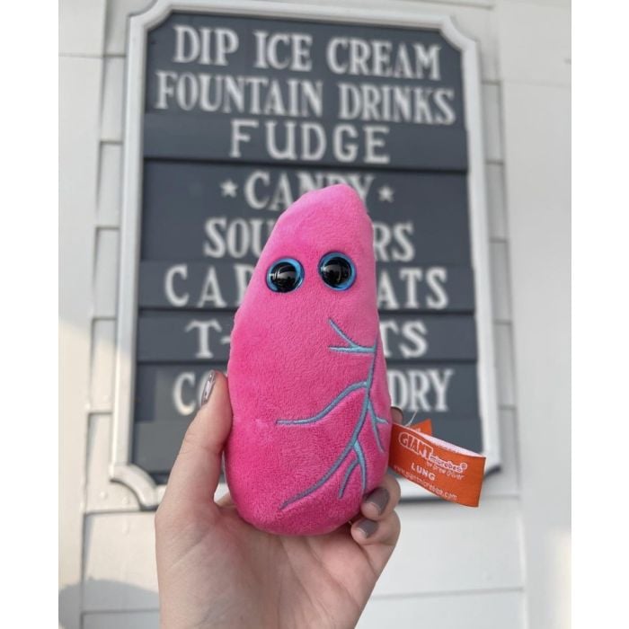Lung plush with ice cream