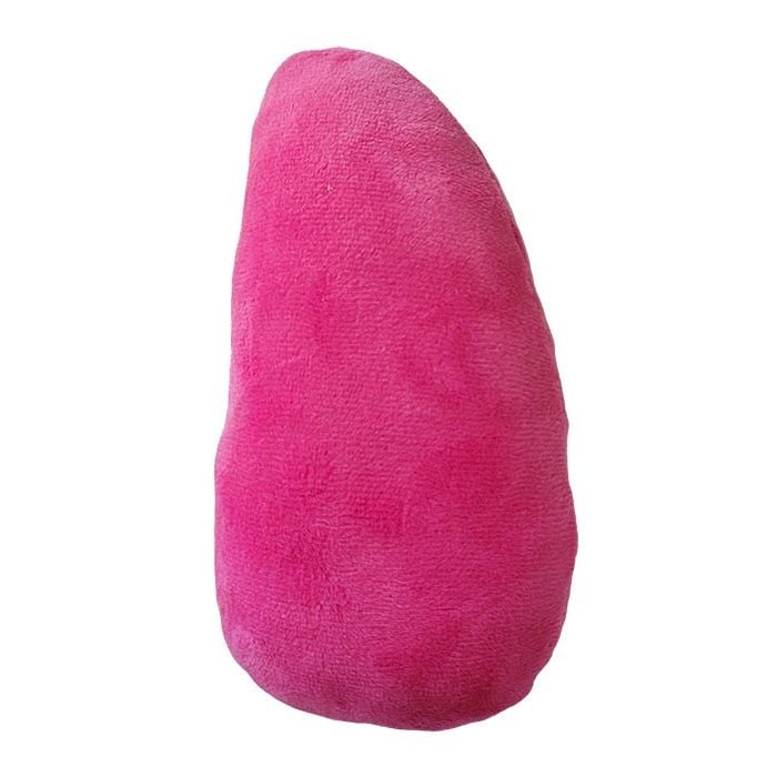Pink Lung PD back